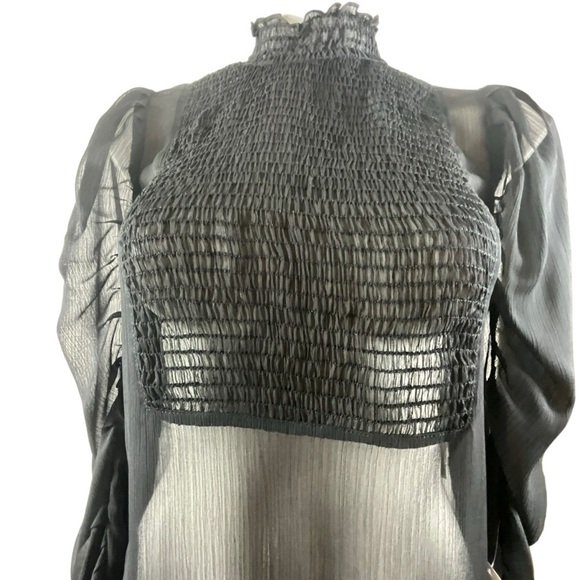 Zara Black Sheer Smocked High Neck Smocked Front Panel Ruched Sleeve Dress - Picture 5 of 14